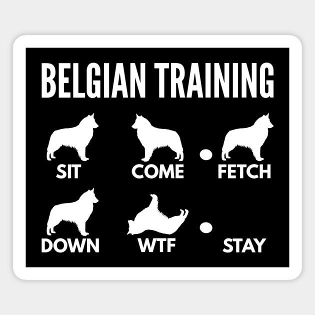 Belgian Training Belgian Sheepdog Tricks Magnet by DoggyStyles